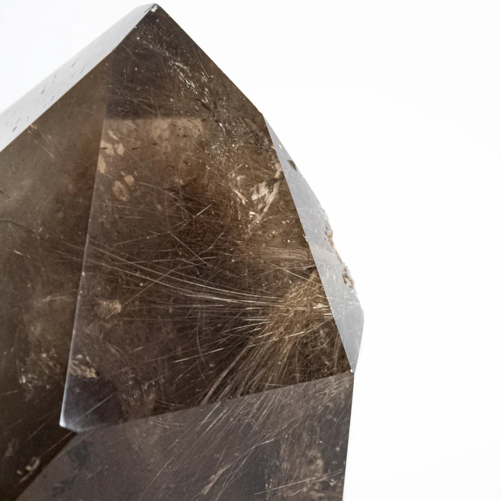 Extra Crystallized Smoky Quartz with Golden Rutile Inclusion on Dark Wood Base 1.566kg