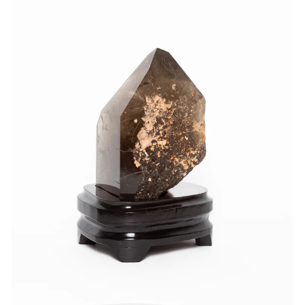 Extra Crystallized Smoky Quartz with Golden Rutile Inclusion on Dark Wood Base 1.566kg
