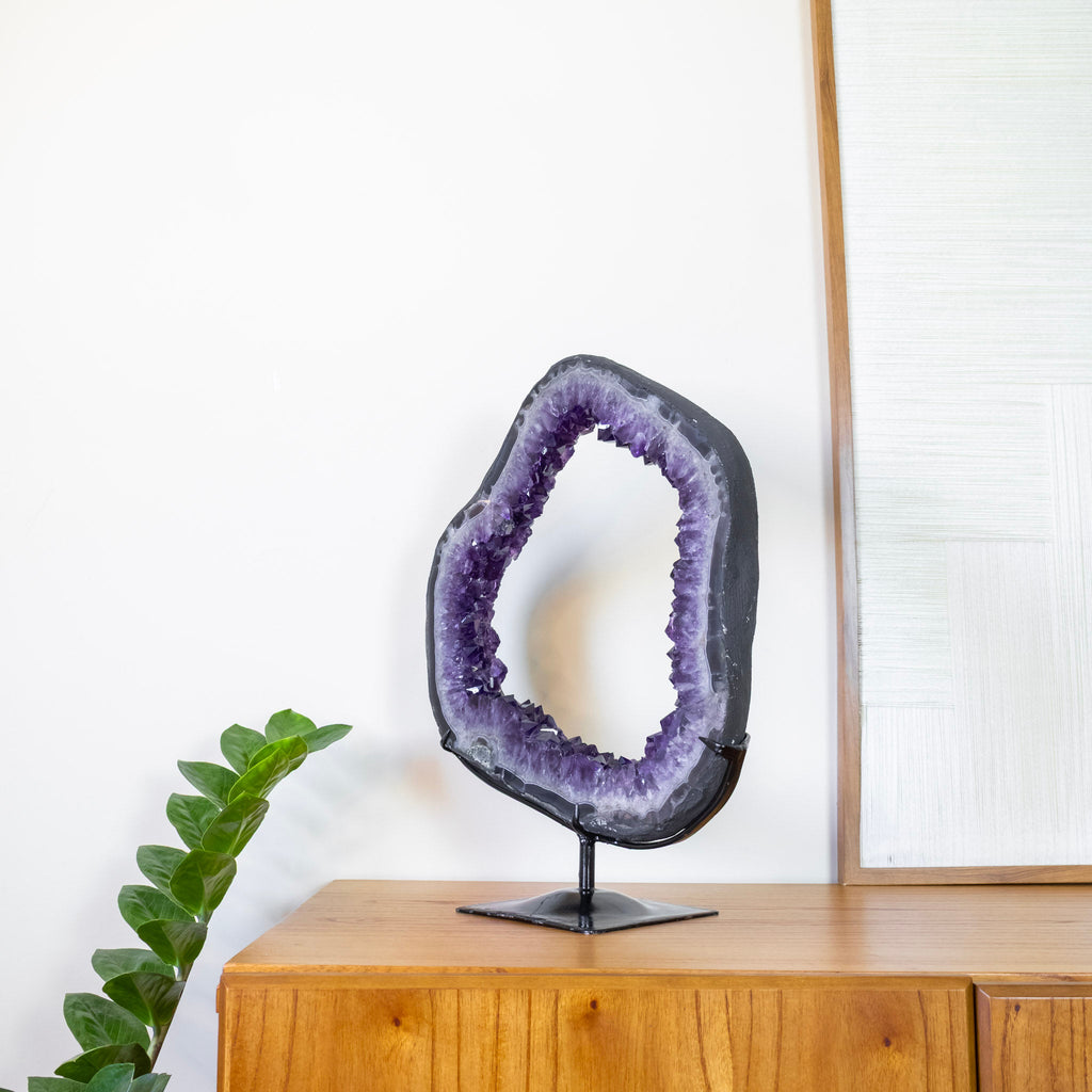 Extra Uruguayan Amethyst Druzy Hoop on Black Metal Base 6.460 kg