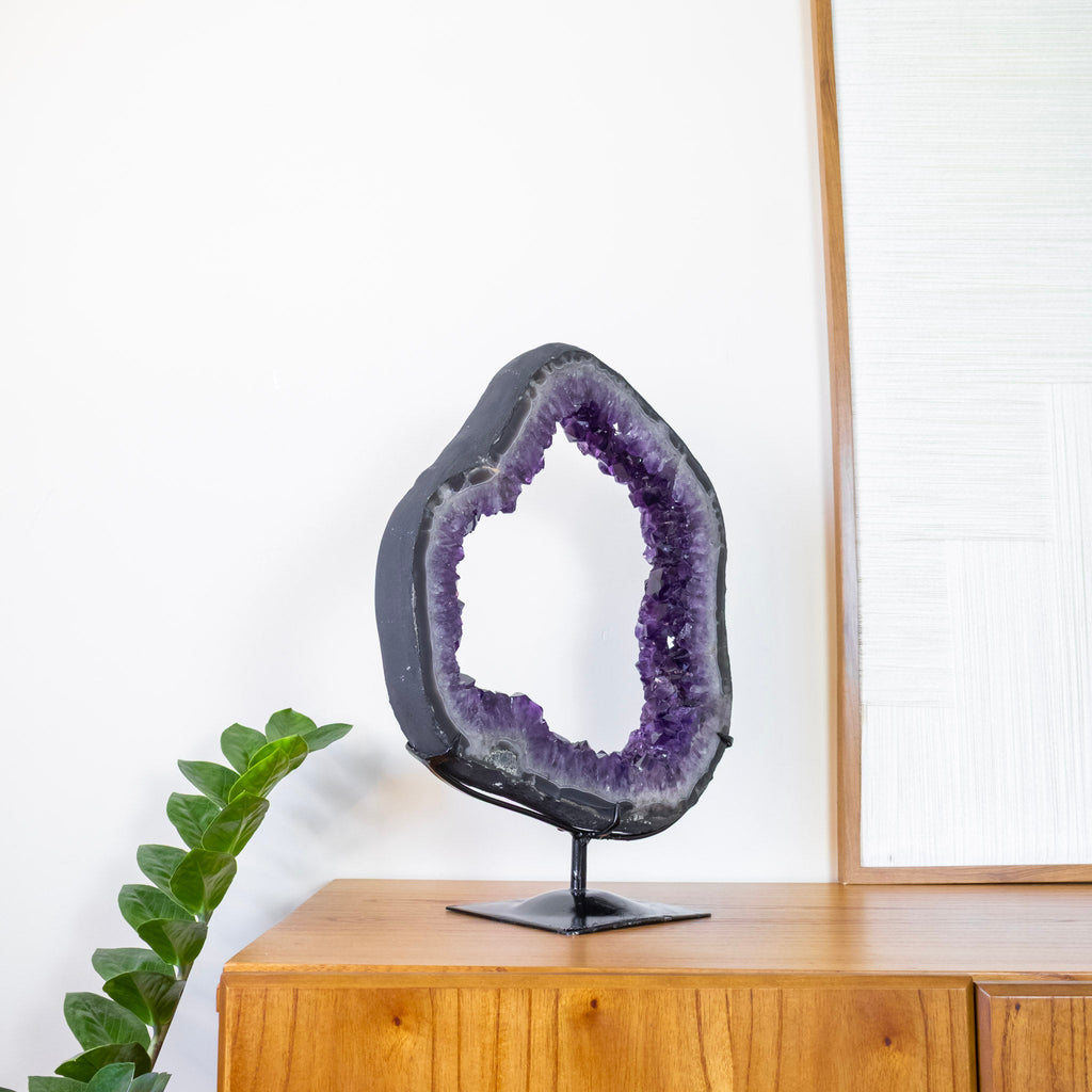 Extra Uruguayan Amethyst Druzy Hoop on Black Metal Base 6.460 kg