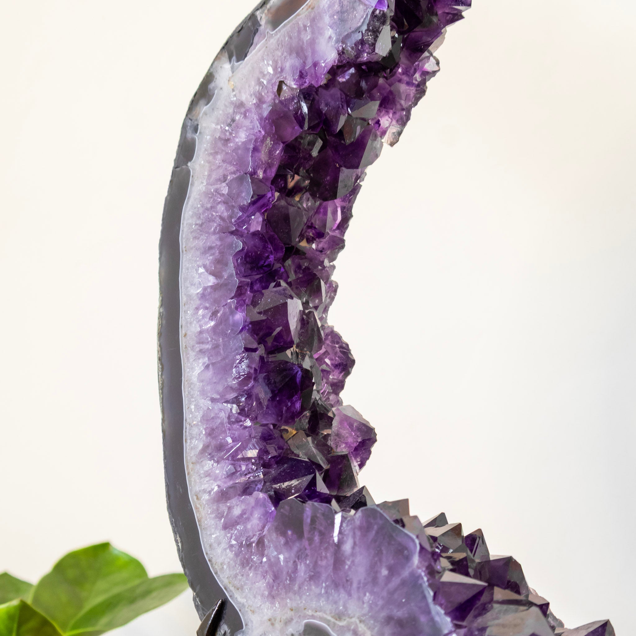 Extra Uruguayan Amethyst Druzy Hoop on Black Metal Base 6.460 kg