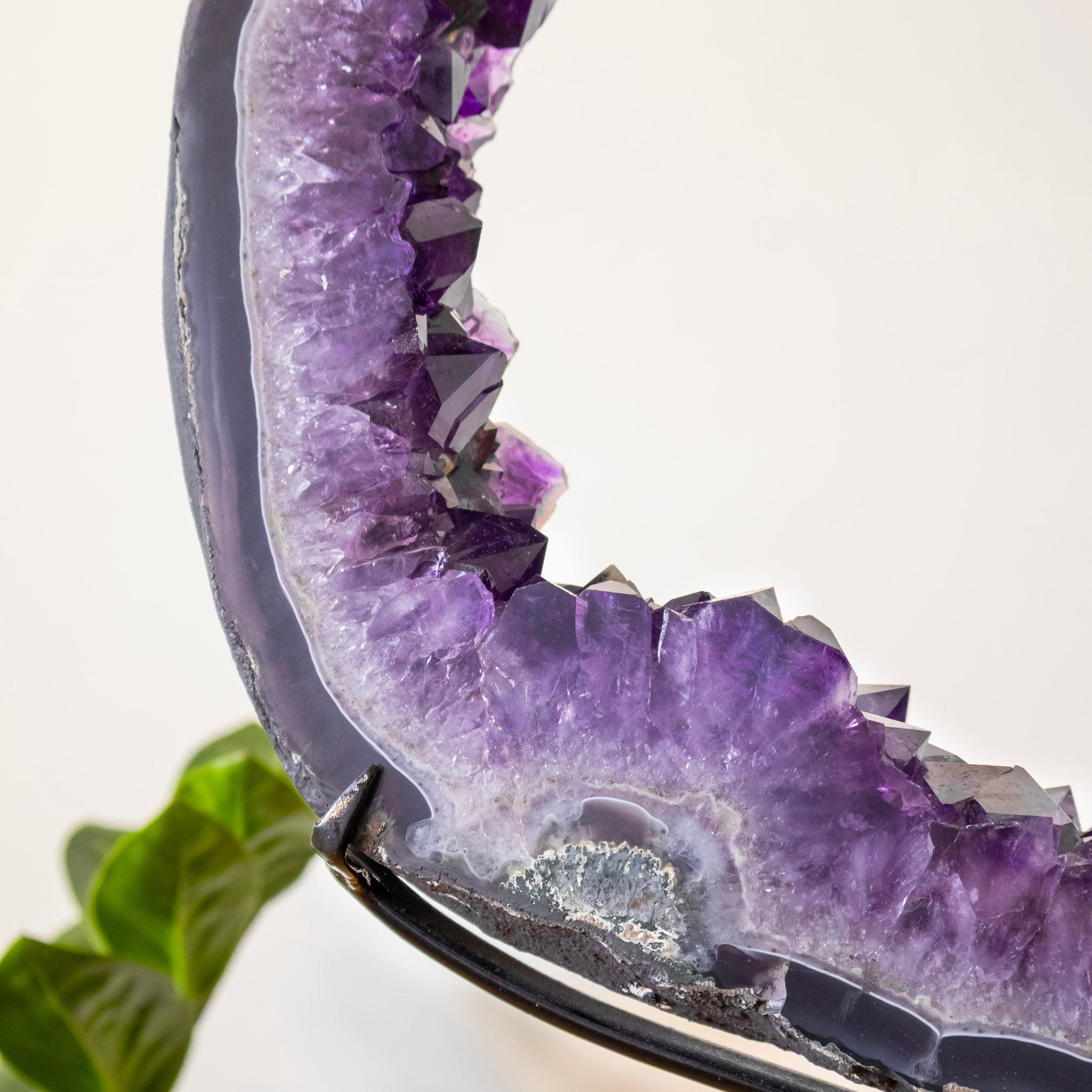 Extra Uruguayan Amethyst Druzy Hoop on Black Metal Base 6.460 kg
