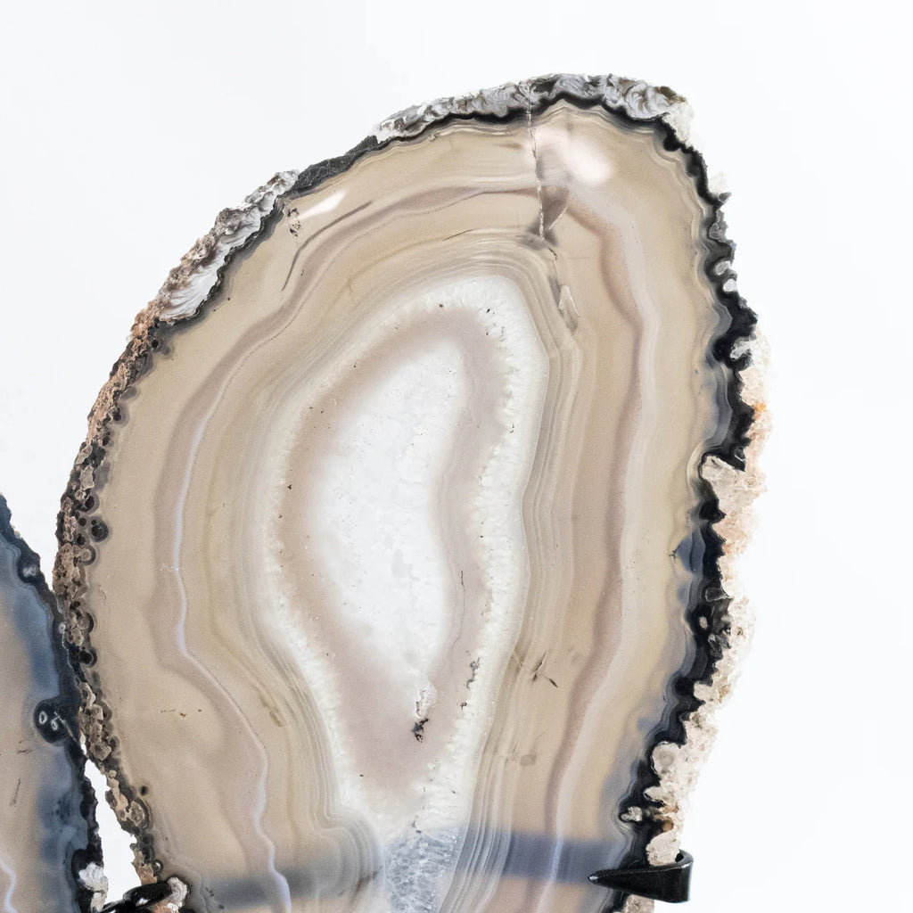 Polished Natural Gray Tones Agate Slice Butterfly on Metal Base 2.450 kg