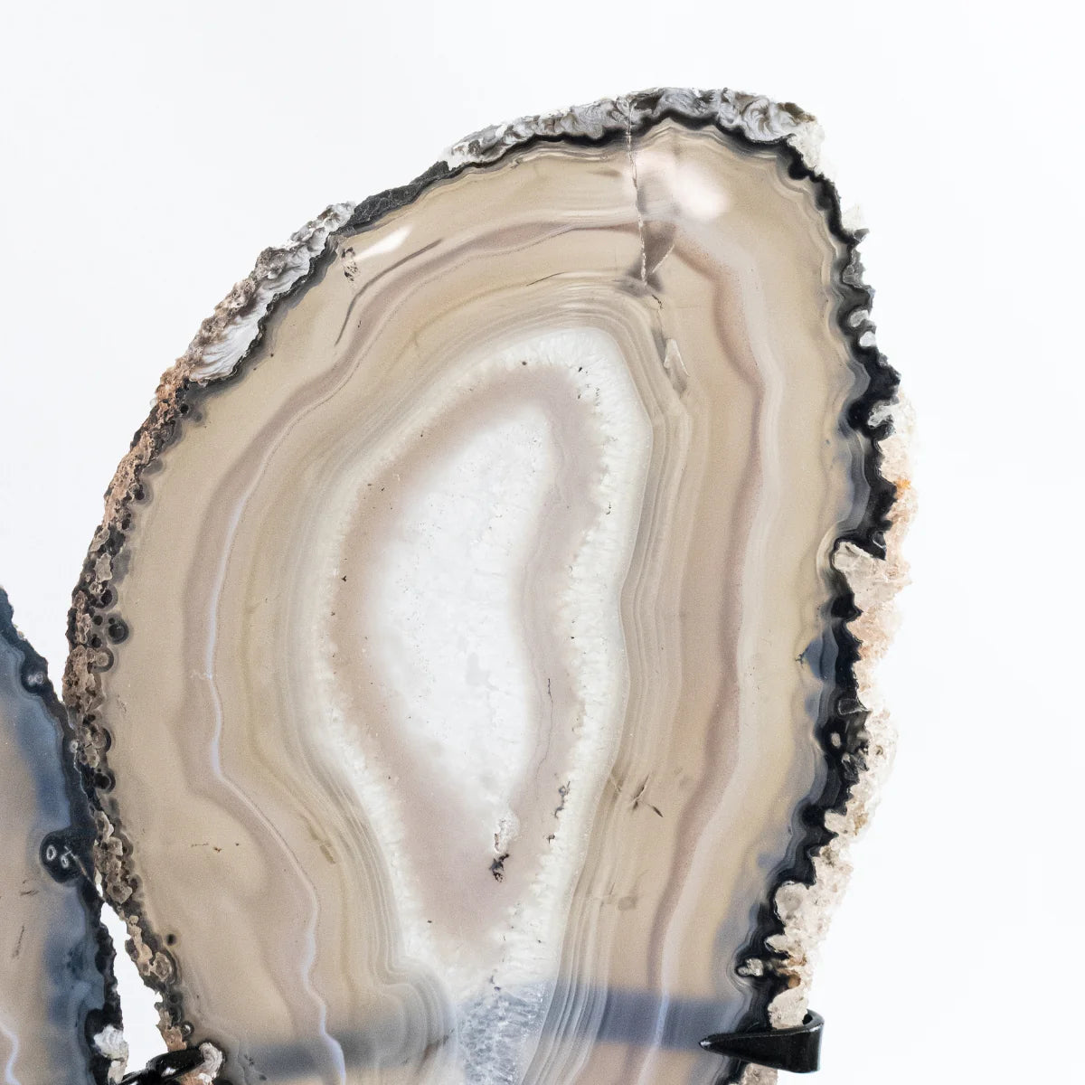 Polished Natural Gray Tones Agate Slice Butterfly on Metal Base 2.450 kg