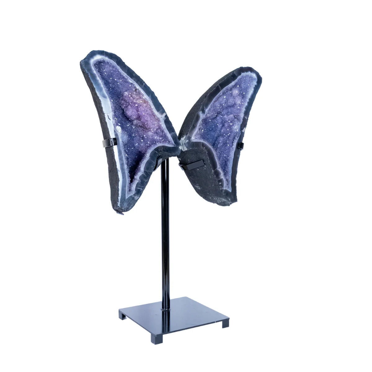 Amethyst Cathedral Geode Butterfly on Black Metal Base 23.3 kg