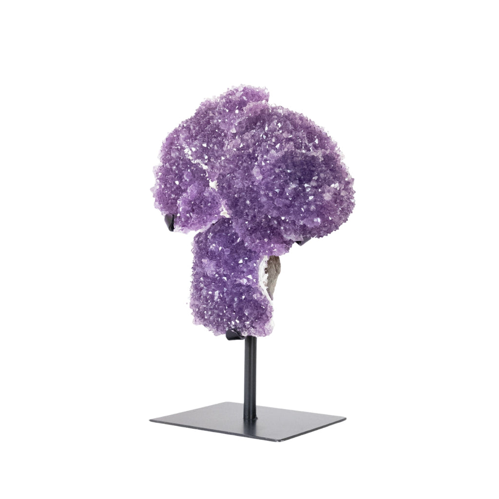 Extra Amethyst Druzy Rare Formation on Black Metal Base 4.244 kg