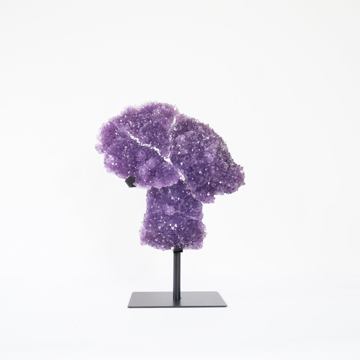 Extra Amethyst Druzy Polished Edge on Black Metal Base 5.950 kg