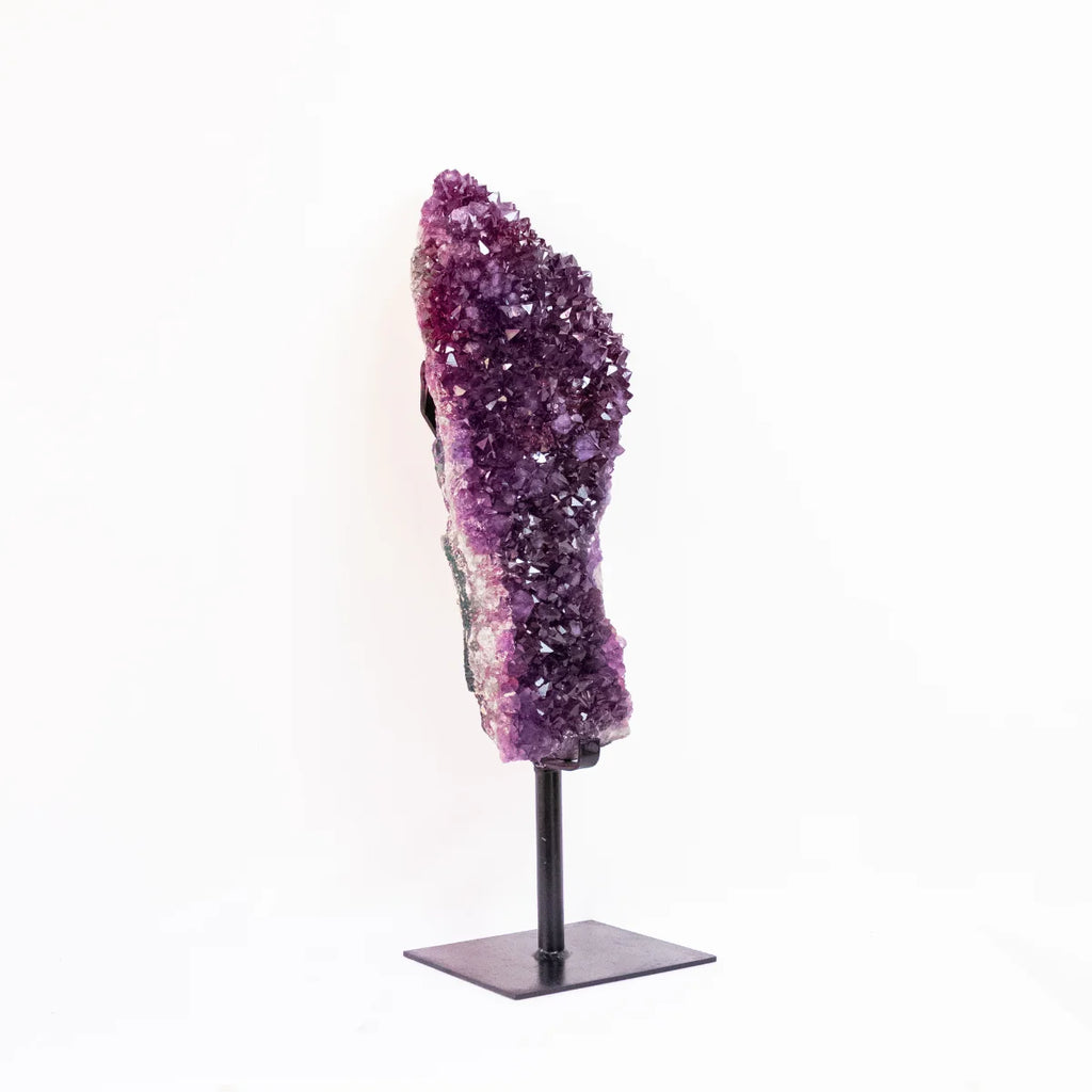 Large Extra Amethyst Druze with Golden Rutile Inclusion on Black Metal Base 19.300 kg