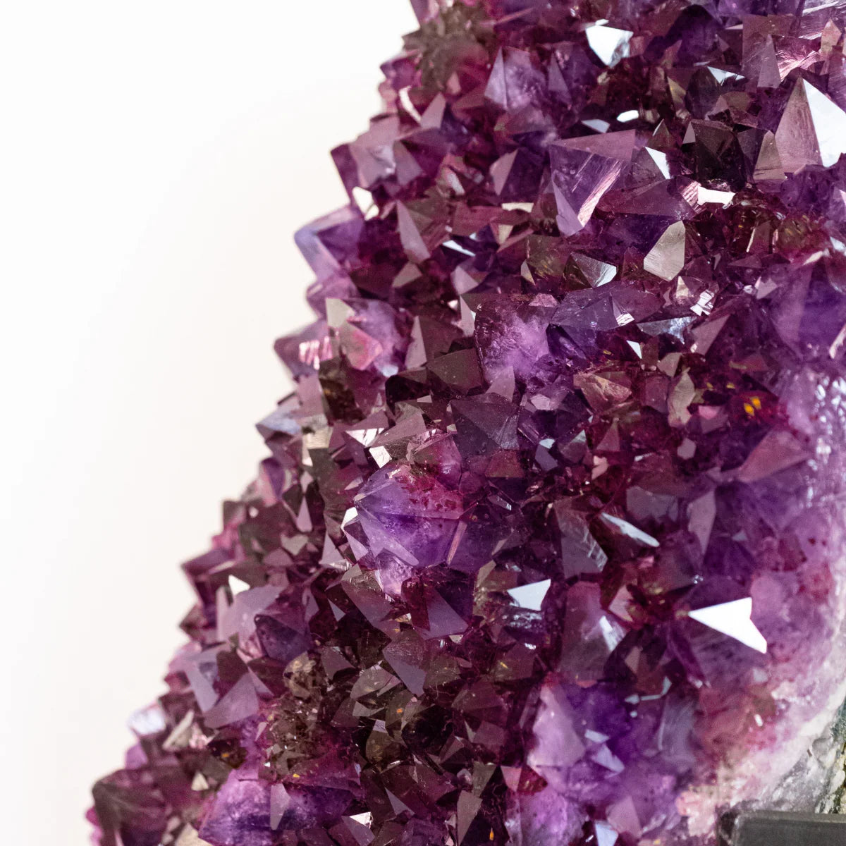 Large Extra Amethyst Druze with Golden Rutile Inclusion on Black Metal Base 19.300 kg