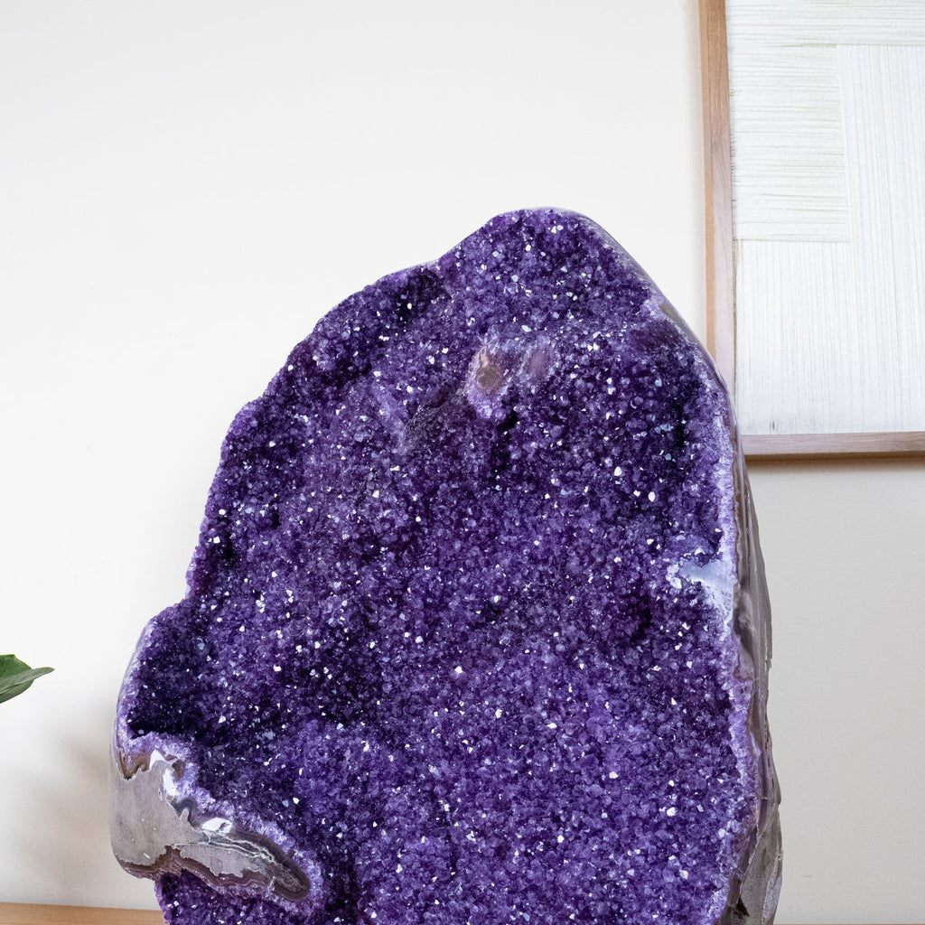 Extra Uruguayan Amethyst Druzy Semi-Polished Edge 40.250 kg