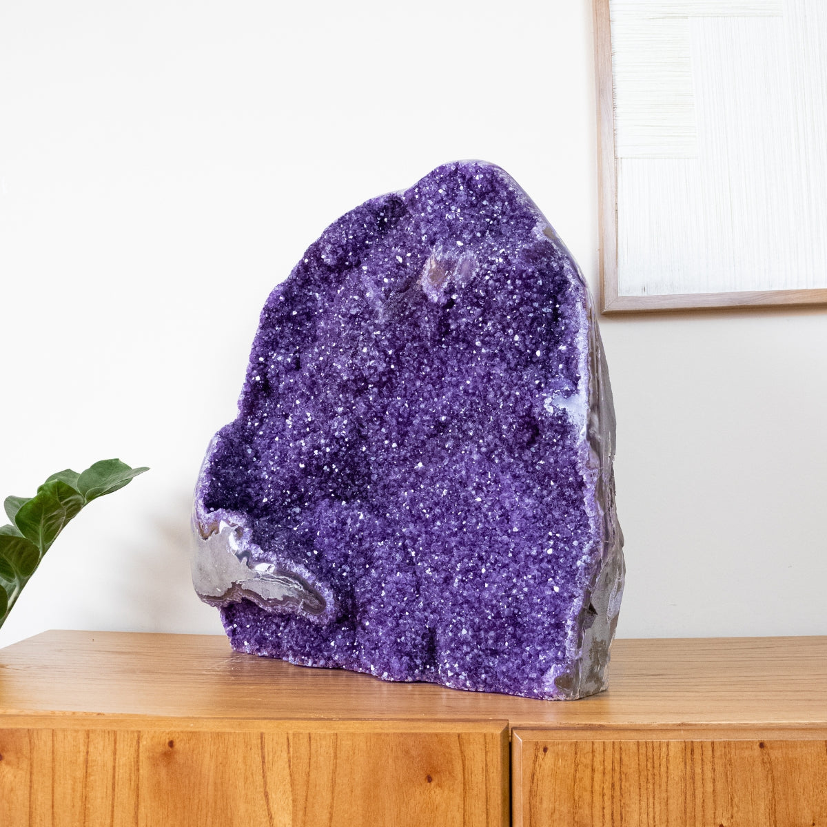 Extra Uruguayan Amethyst Druzy Semi-Polished Edge 40.250 kg
