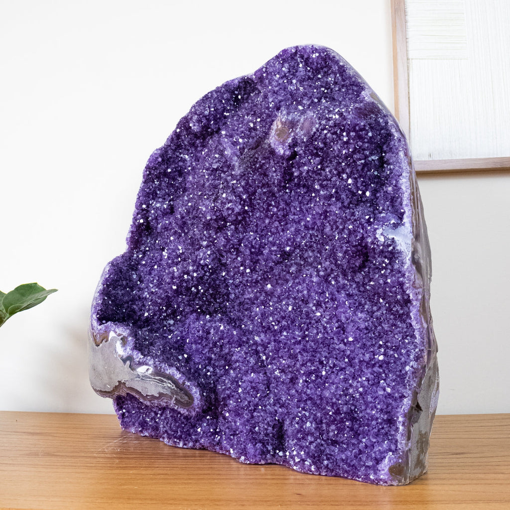 Extra Uruguayan Amethyst Druzy Semi-Polished Edge 40.250 kg