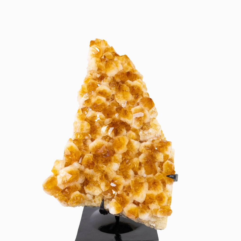 Extra Citrine Druzy on Black Metal Base 8.250 kg