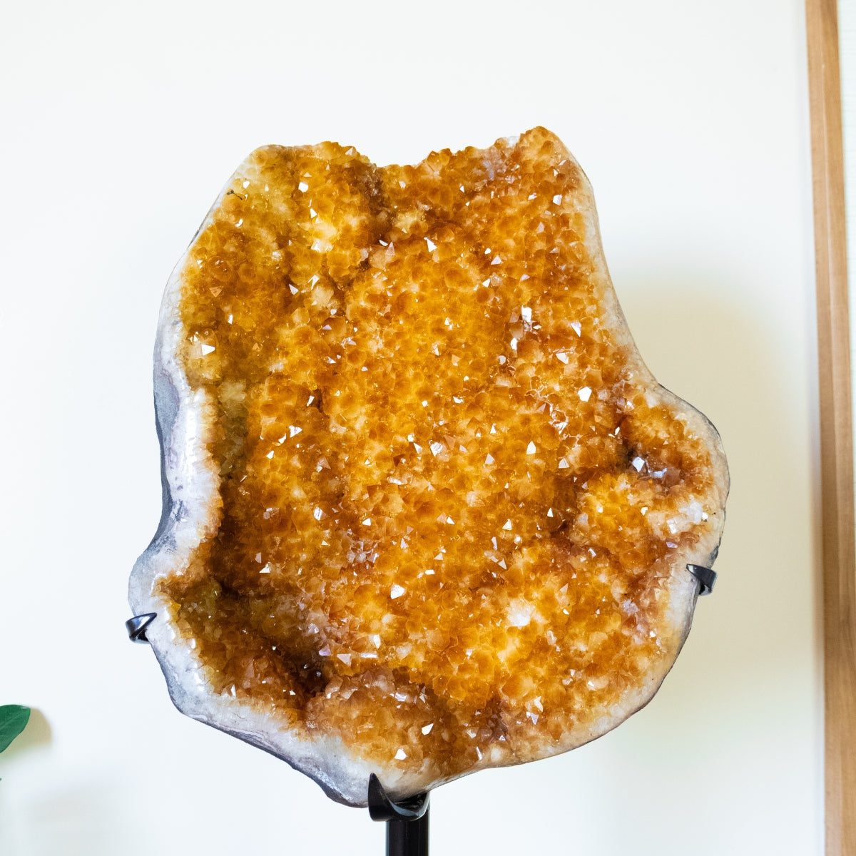 Large Citrine Druzy on Metal Base 18.800 kg