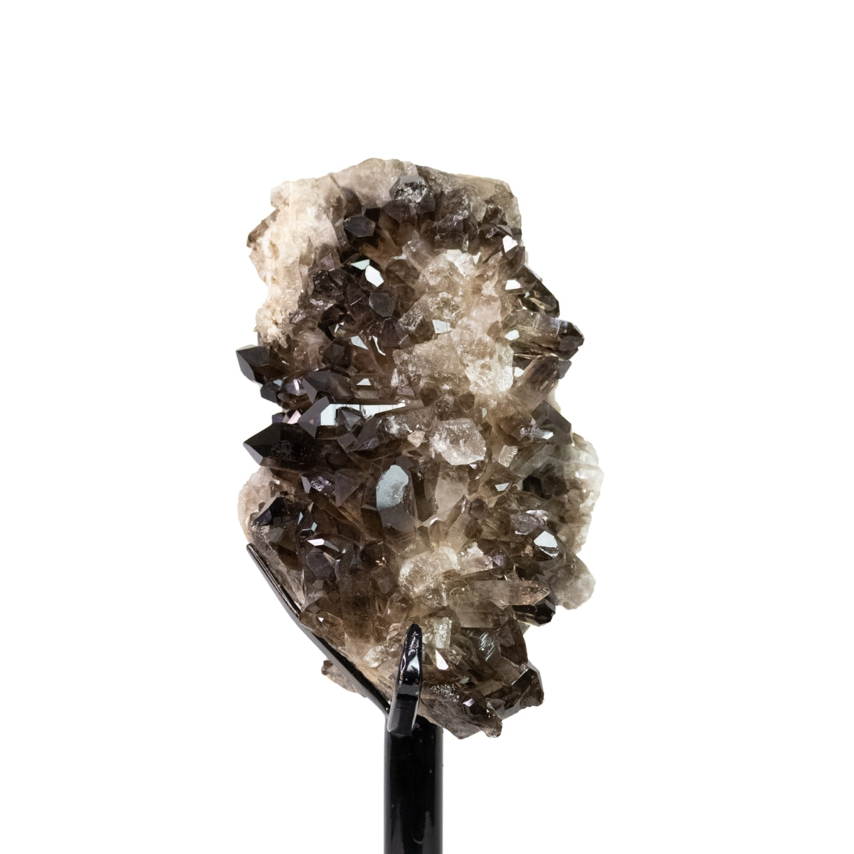 Large Smoky Quartz Druzy on Black Metal Base 12.300 kg