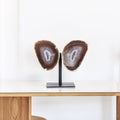 Mini Natural Crystallized Caramel Agate Butterfly on Metal Base 387 grams