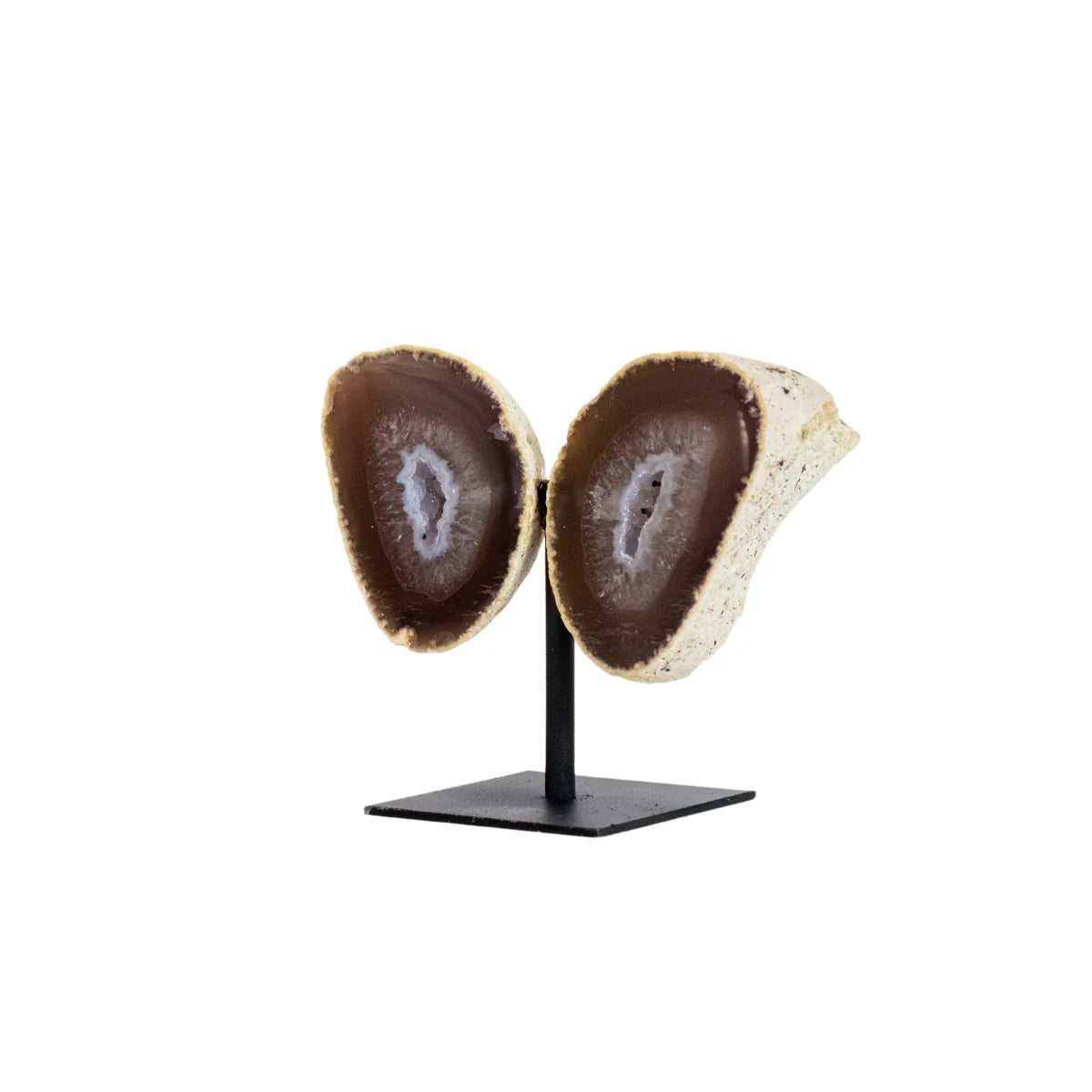 Mini Natural Crystallized Caramel Agate Butterfly on Metal Base 387 grams