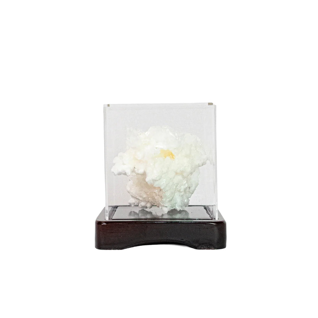 Extra Crystallized Fluorescent Aragonite Stone in Acrylic Dome Wood Base - 744 grams