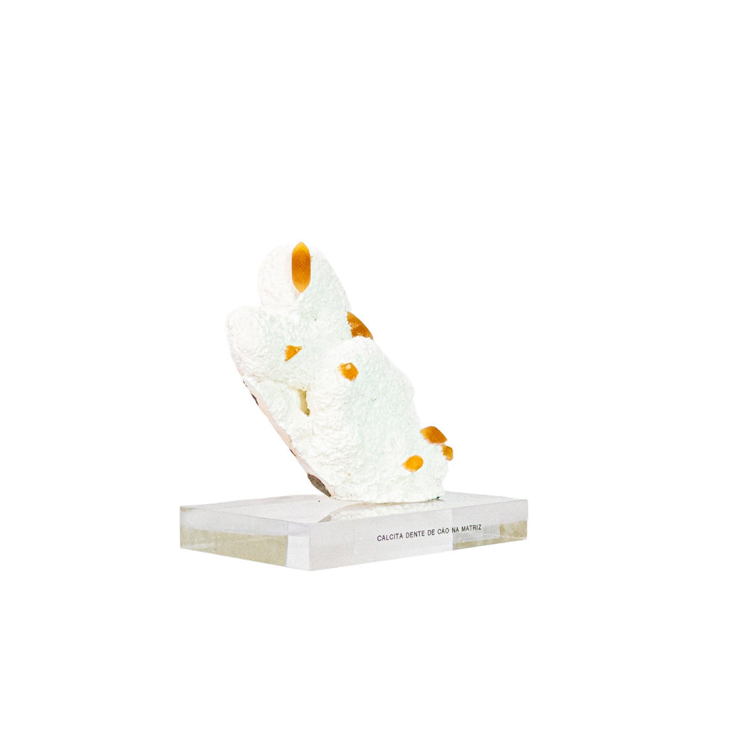 White Selenite Purification Tree Gold Details 3.360 kg