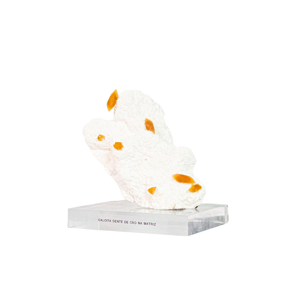 Dogtooth Calcite Stone in Limestone Matrix on Acrylic Base - exclusive rare formation (Collection)