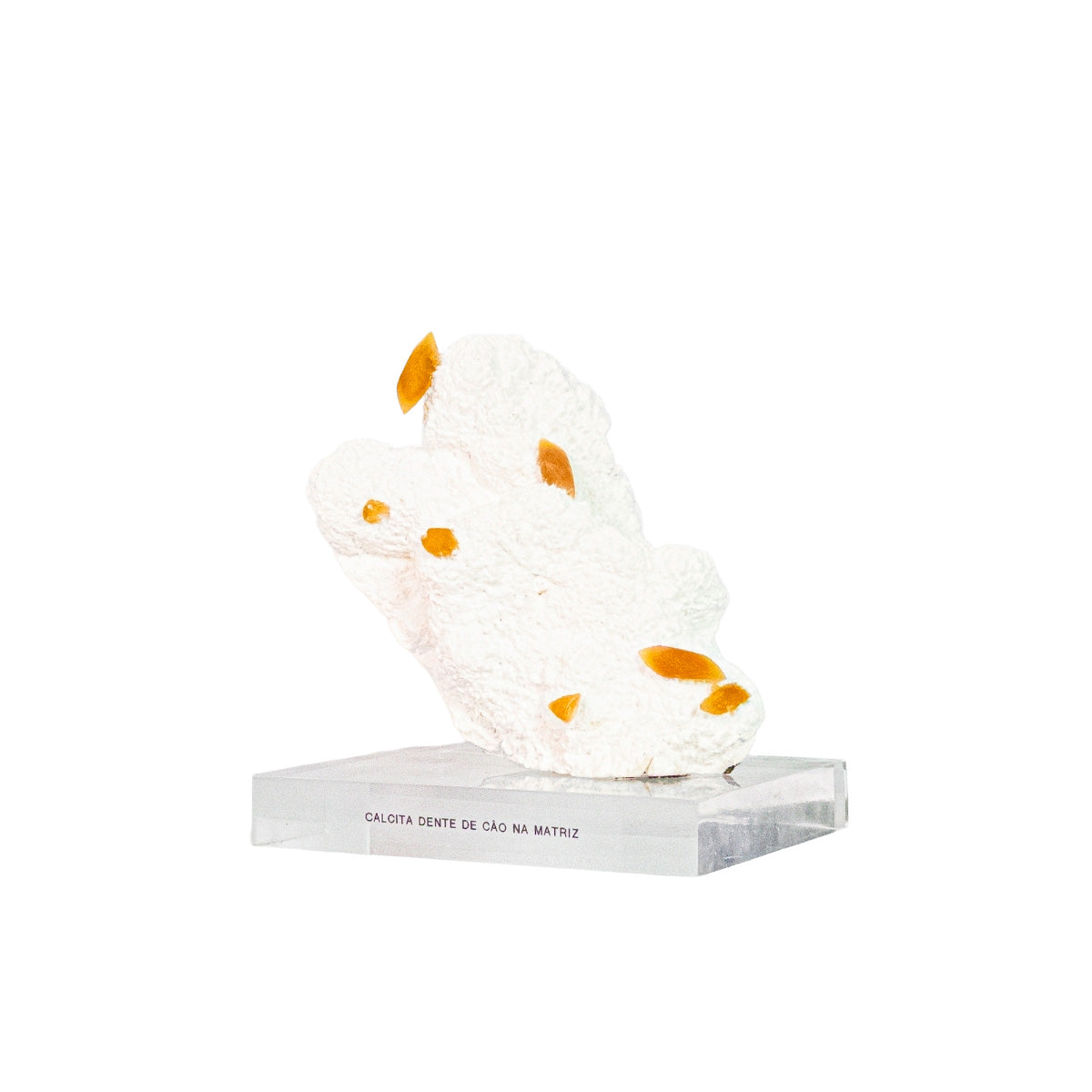 Dogtooth Calcite Stone in Limestone Matrix on Acrylic Base - exclusive rare formation (Collection)