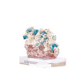 Cavansite Stone in Stilbite Matrix on Acrylic Base (Collection) 680 grams