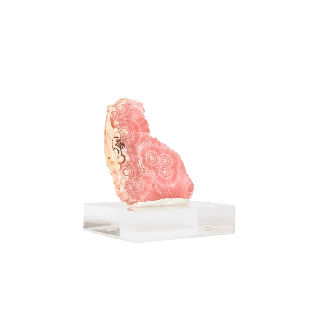 Extra Polished Rhodochrosite Stone on Acrylic Base (Collection) 32 grams