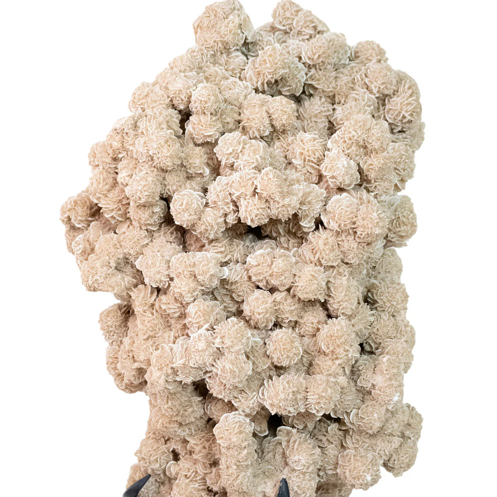 Exclusive Desert Rose Stone Cluster on Black Metal Base 8.250 kg