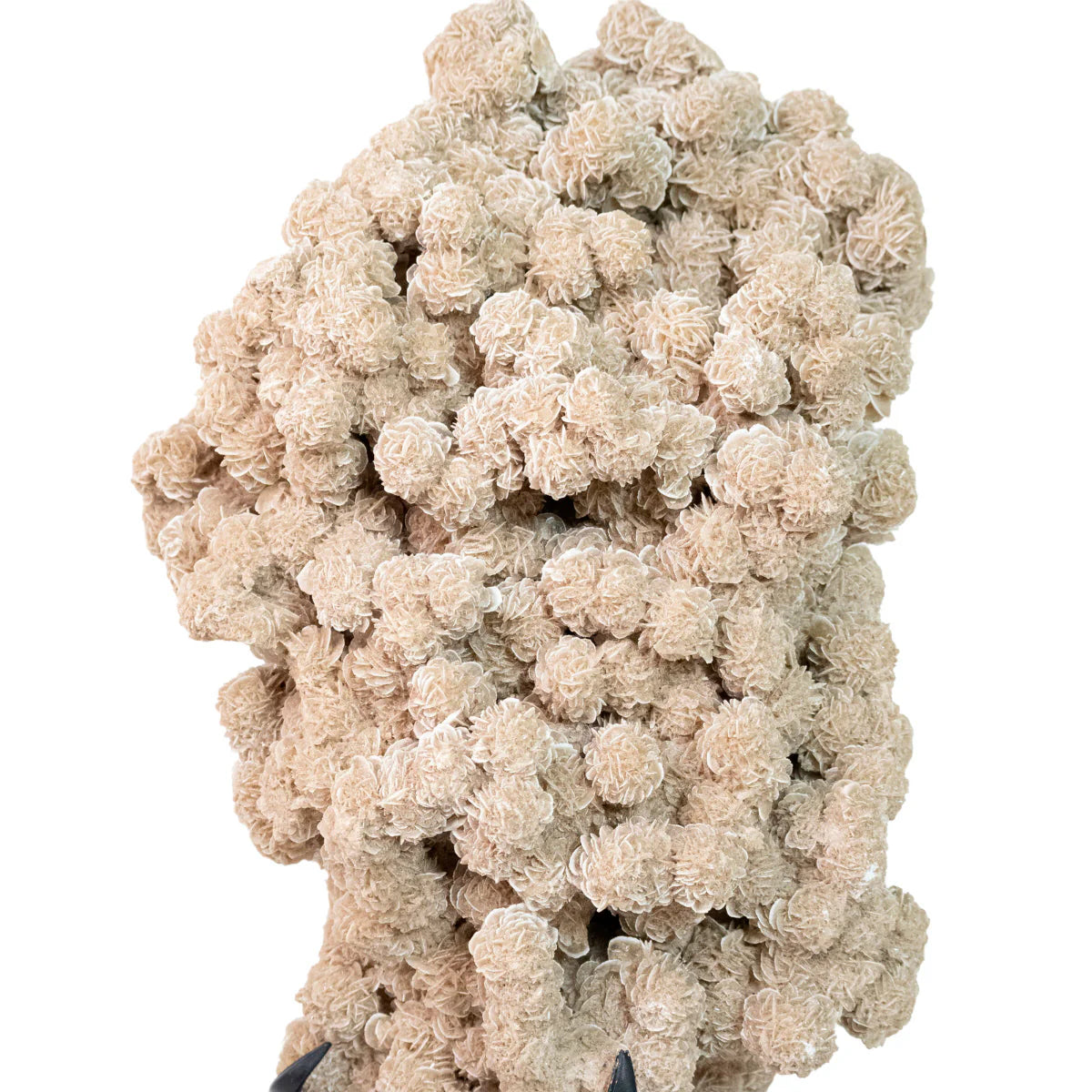 Exclusive Desert Rose Stone Cluster on Black Metal Base 8.250 kg