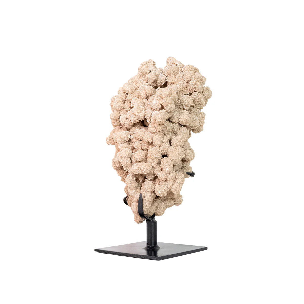 Exclusive Desert Rose Stone Cluster on Black Metal Base 8.250 kg