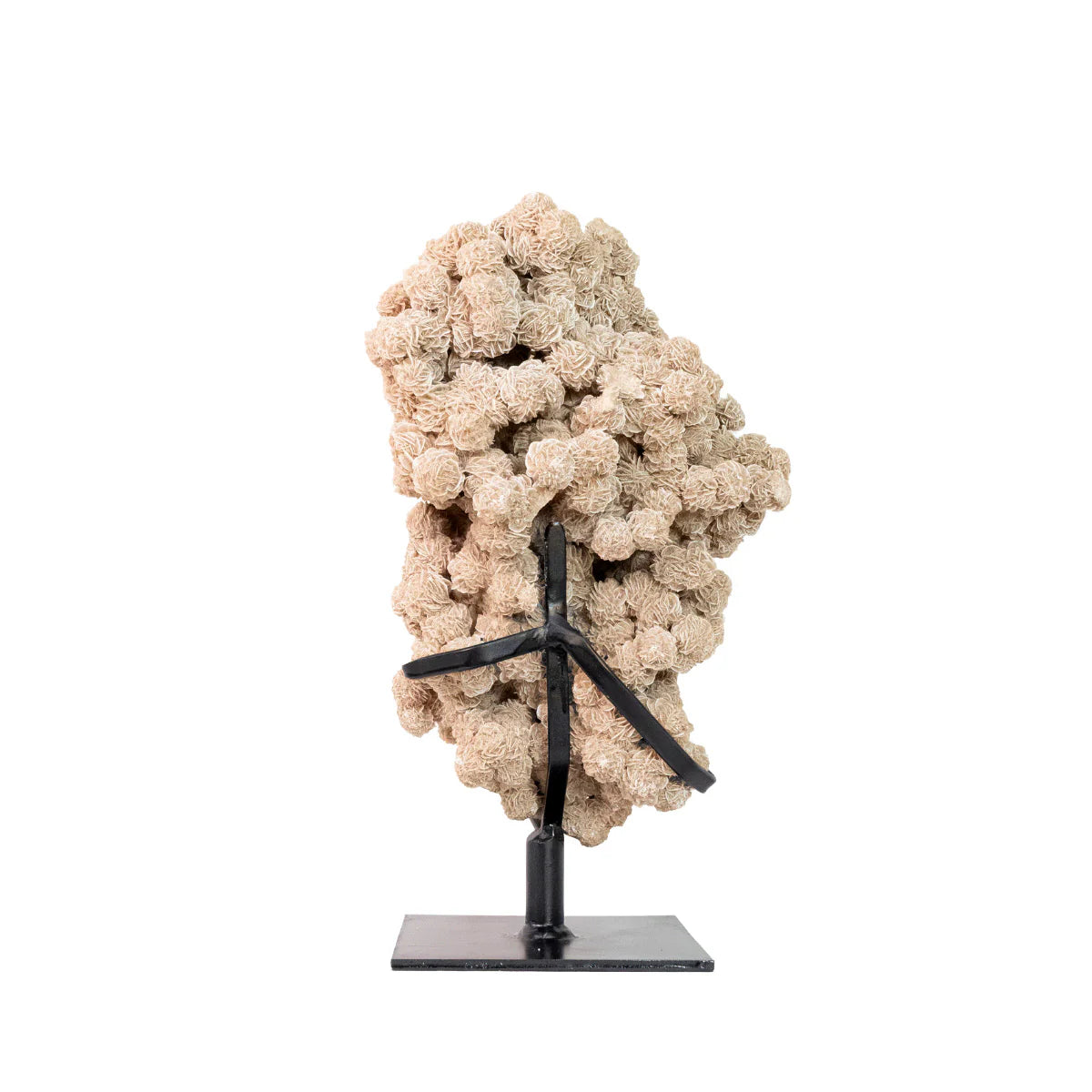 Exclusive Desert Rose Stone Cluster on Black Metal Base 8.250 kg