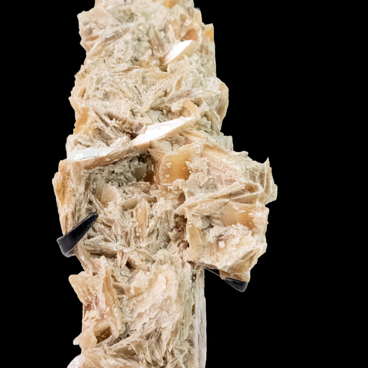 Golden Selenite Stone Exclusive Formation on Black Metal Base (Collection) 1.360 kg