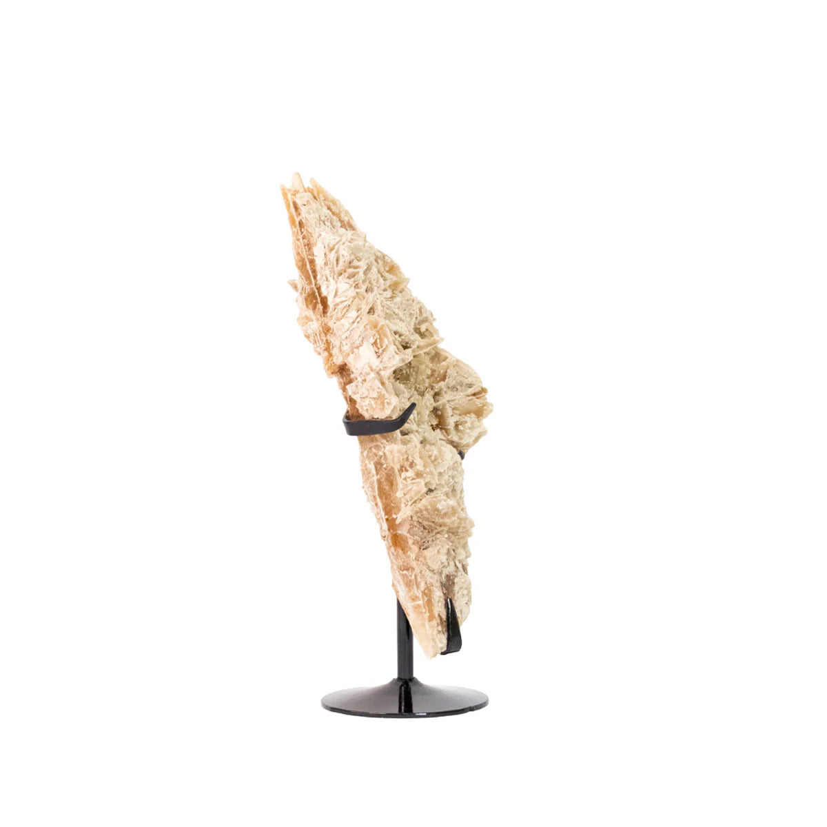 Golden Selenite Stone Exclusive Formation on Black Metal Base (Collection) 1.360 kg