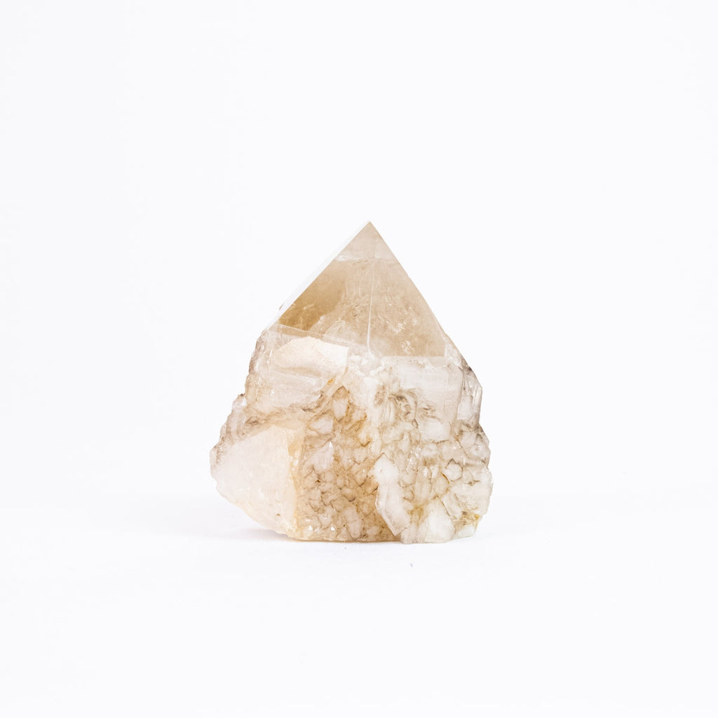 Raw Self-Healed Elestial Jacare Smoky Quartz Point 1.115 kg