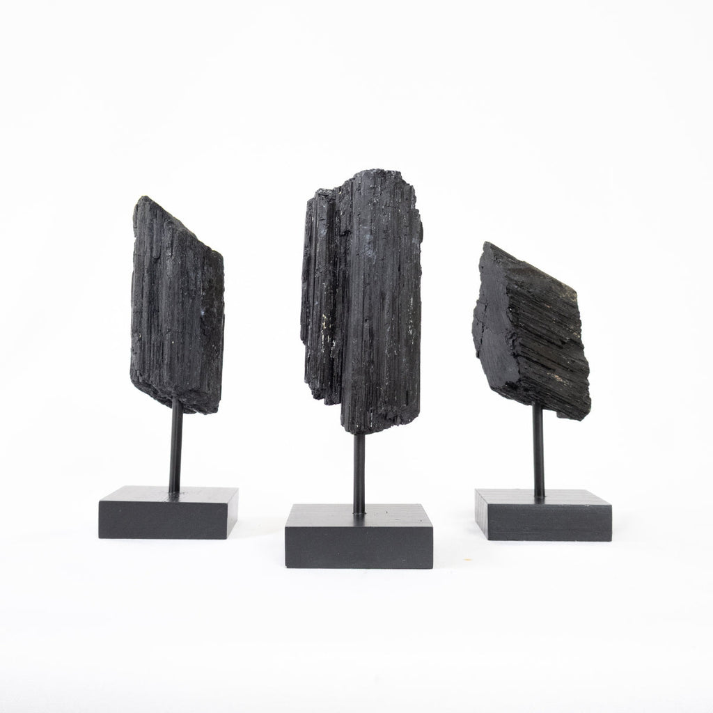 Raw Black Tourmaline on Black Wood Base 500 to 600 grams