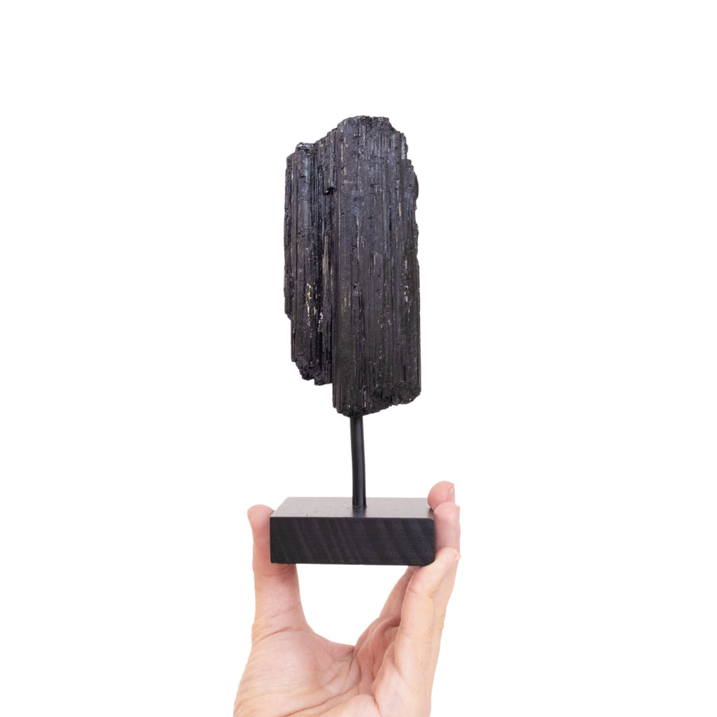 Raw Black Tourmaline on Black Wood Base 500 to 600 grams