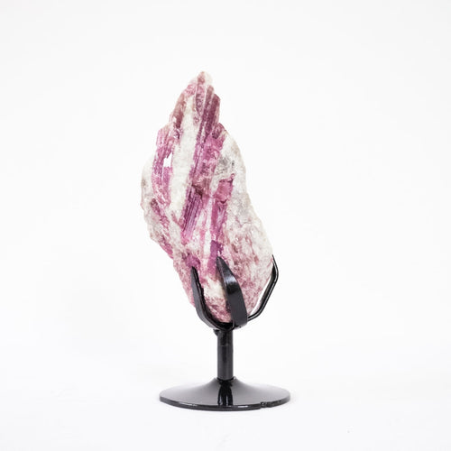 Extra Rubellite Tourmaline in Matrix on Metal Base 987 grams (Collection)
