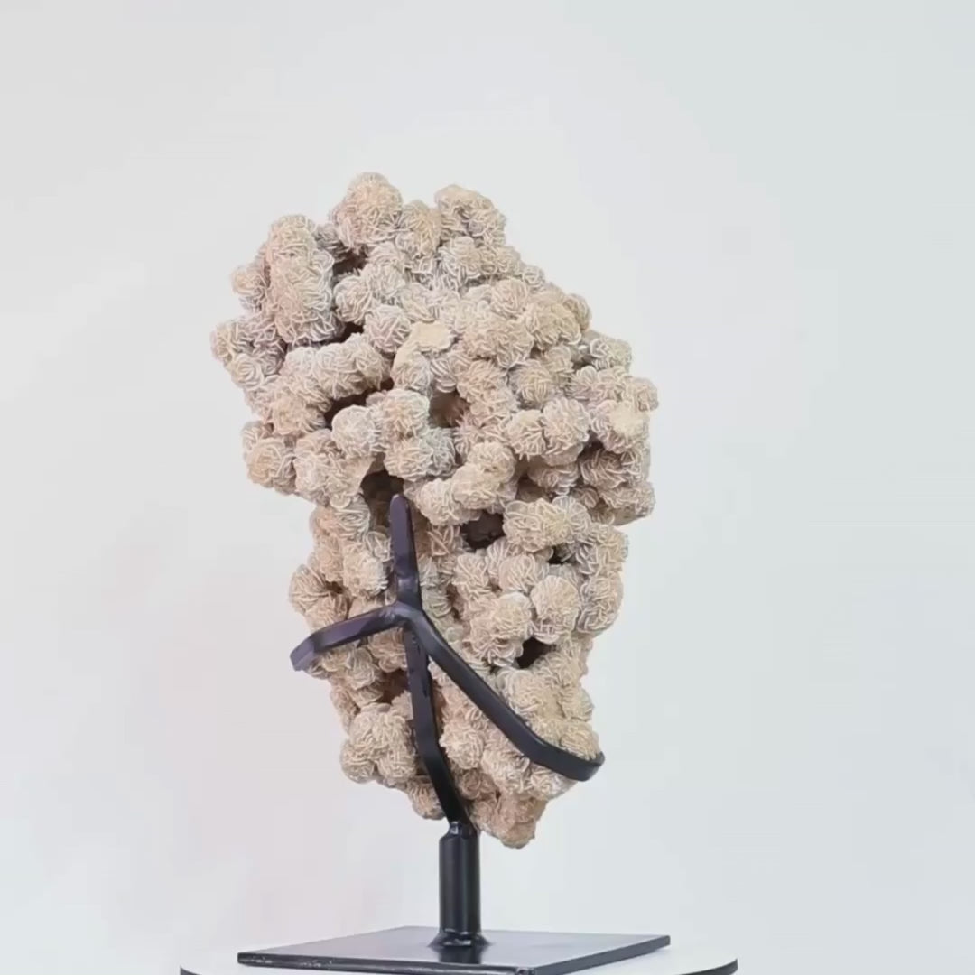 Exclusive Desert Rose Stone Cluster on Black Metal Base 8.250 kg