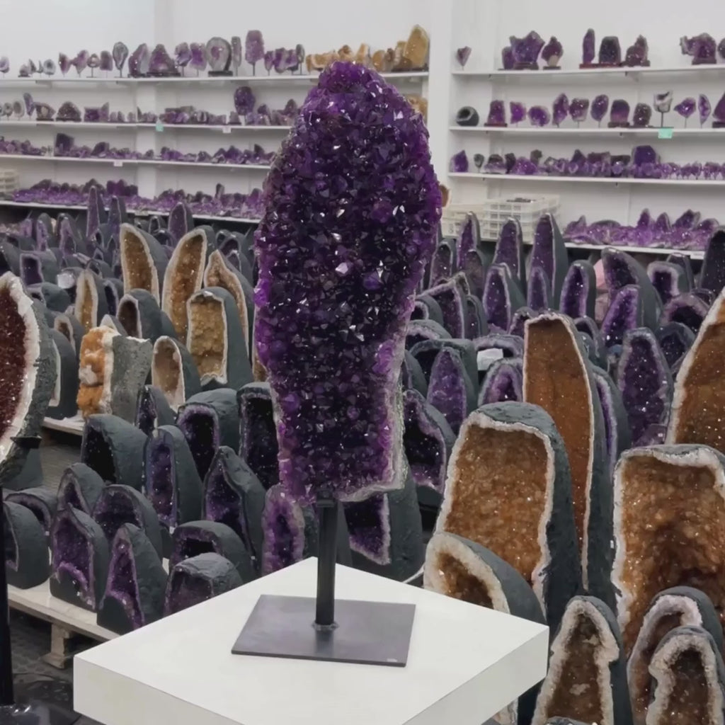 Large Extra Amethyst Druze with Golden Rutile Inclusion on Black Metal Base 19.300 kg