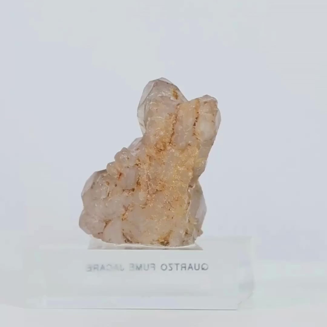 Alligator Elestial Smoky Quartz Stone on Acrylic Base (Collection) 190 grams