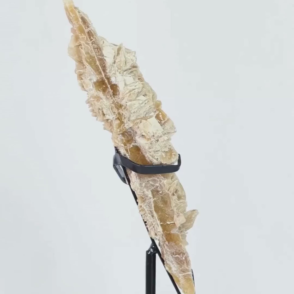 Golden Selenite Stone Exclusive Formation on Black Metal Base (Collection) 1.360 kg