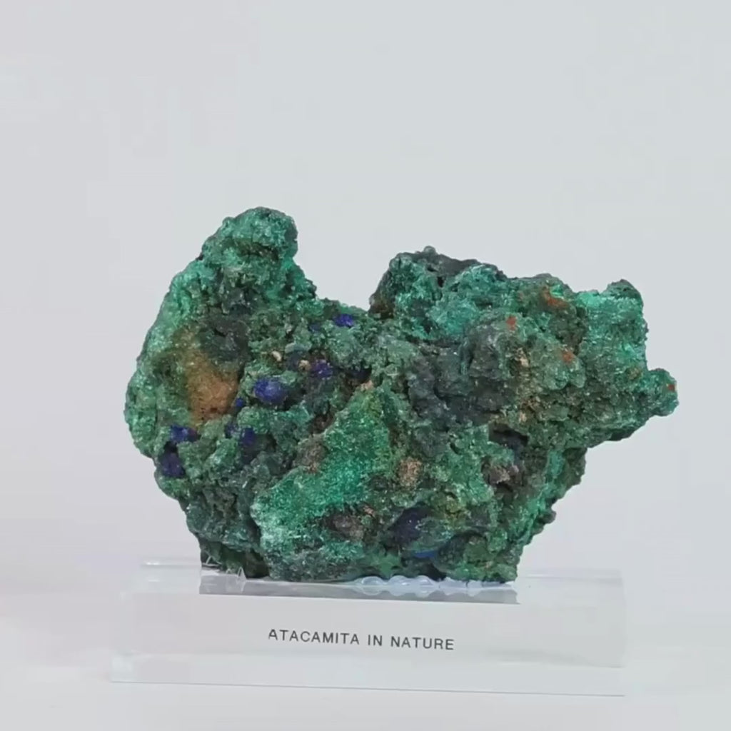 Raw Natural Atacamite Stone on Acrylic Base - Rare Formation (Collection) 547 grams